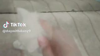 Daisy looking itself in mirror.
