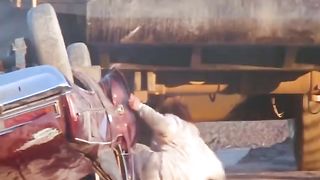 Jaki chen movie