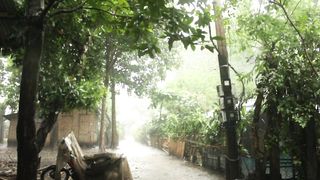 Rain Noise + Soothing Water Sounds (with thunder) for Sleep and Relaxation