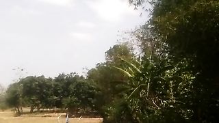 Animal lovers