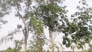 Animal lovers