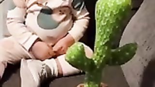 baby cactus funny video