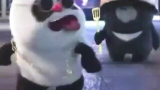 cute panda videos tell me who like these pandas comment me