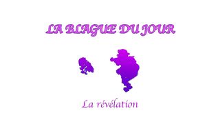 La révélation - La blague du jour.