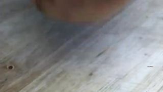 LASAGNE