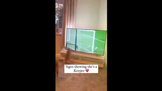 Funniest cats ???? try not to laugh at these hilarious animals