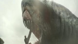 Brave Man vs Shark