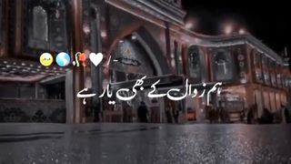video 213