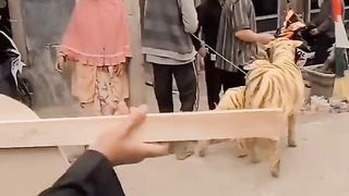 Lion versi embekkkk