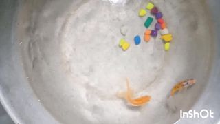 Gold Fishes ocean Advenures