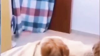 Funny animals video.