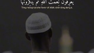 راحه نفسيه جدا قران كريم ????????