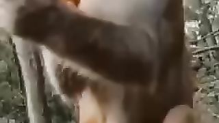 Very funny 58