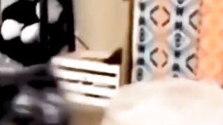 Funny animal videos 24