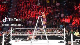 WWE реслинг 156