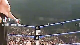 WWE реслинг 161