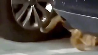 Приколи 417