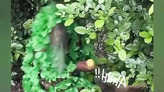 Funny short video 32