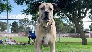 Funny | Frisbee Fumbles: My Family's Hilarious Attempts | FunFM
