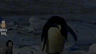 Funny Animals, cats ???? and dogs ???? video