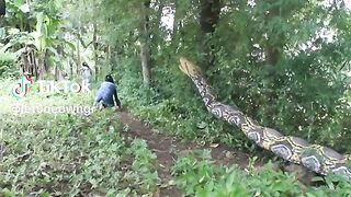 Quand la peur nous envahi