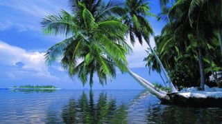 Relaxing music with nature in the background