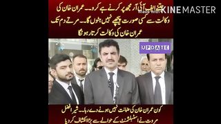 Do as many FIRs as you want to do on me. I will not back down from Imran Khan advocacy.