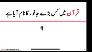 Question Answer in Urdu/Hindi Part #17|  Quiz |Gk Today |  Malumat