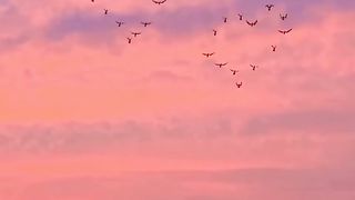 relaxation music to restore your saturation after work.