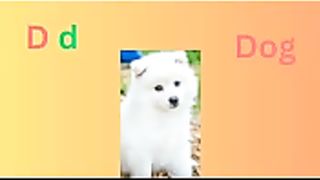 Learn Alphabet D d for kids | Letter D d | ABCD preschool for kids