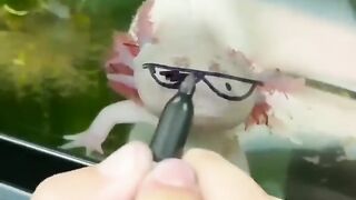 Funny video
