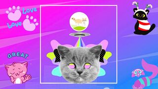 Baby Cats - Cute and Funny Cat Videos Compilation