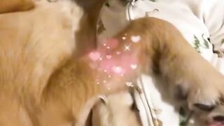 Funny vidéo