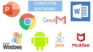 Types of software