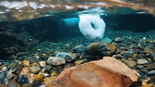 Nature love