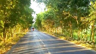 Beautiful Road