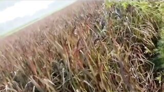 Tiktok latest video