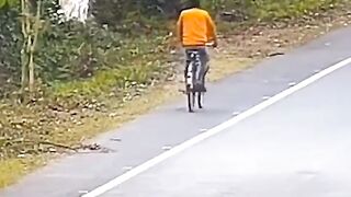 Tiktok tiger attack video
