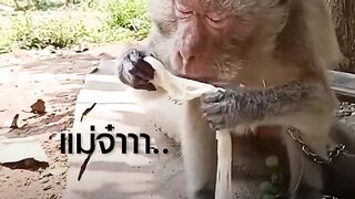 อยากกินเหมือนนุด เพราะมันแซ่บอีหลีเด้อจ้าา