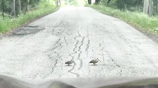 Fun video on road