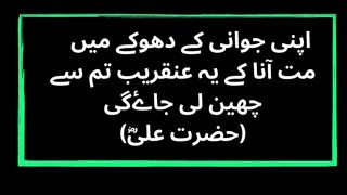 Aqwal e zareen in Urdu A 2