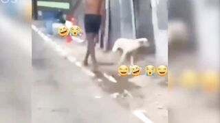 Cute people And Animals