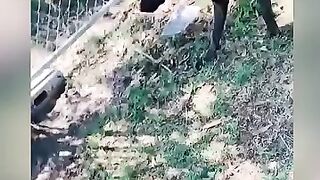 Fantastic video amazing ????????