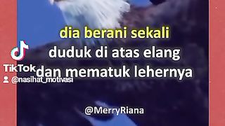 Ketika kamu di fitnah orang