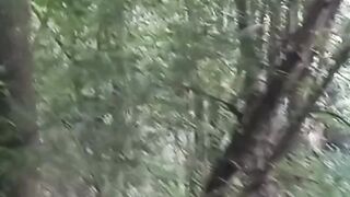 Beautiful nature 95