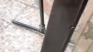 Snake at home