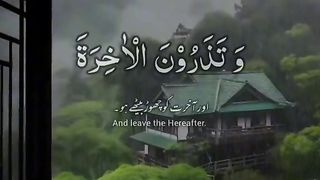 Reactions of Quran