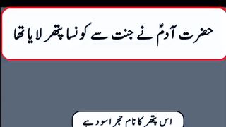 Question Answer in Urdu/Hindi Part #41|  Quiz |Gk Today |  Malumat