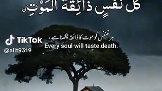 Indeed mankind is in loss 2