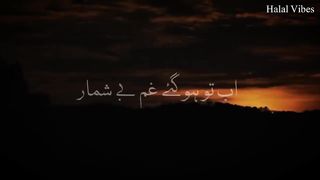Ho Karam Sarkar Ab To _ (Slowed+Reverb) _ Ghulam Mustafa Qadri _ Halal Vibes